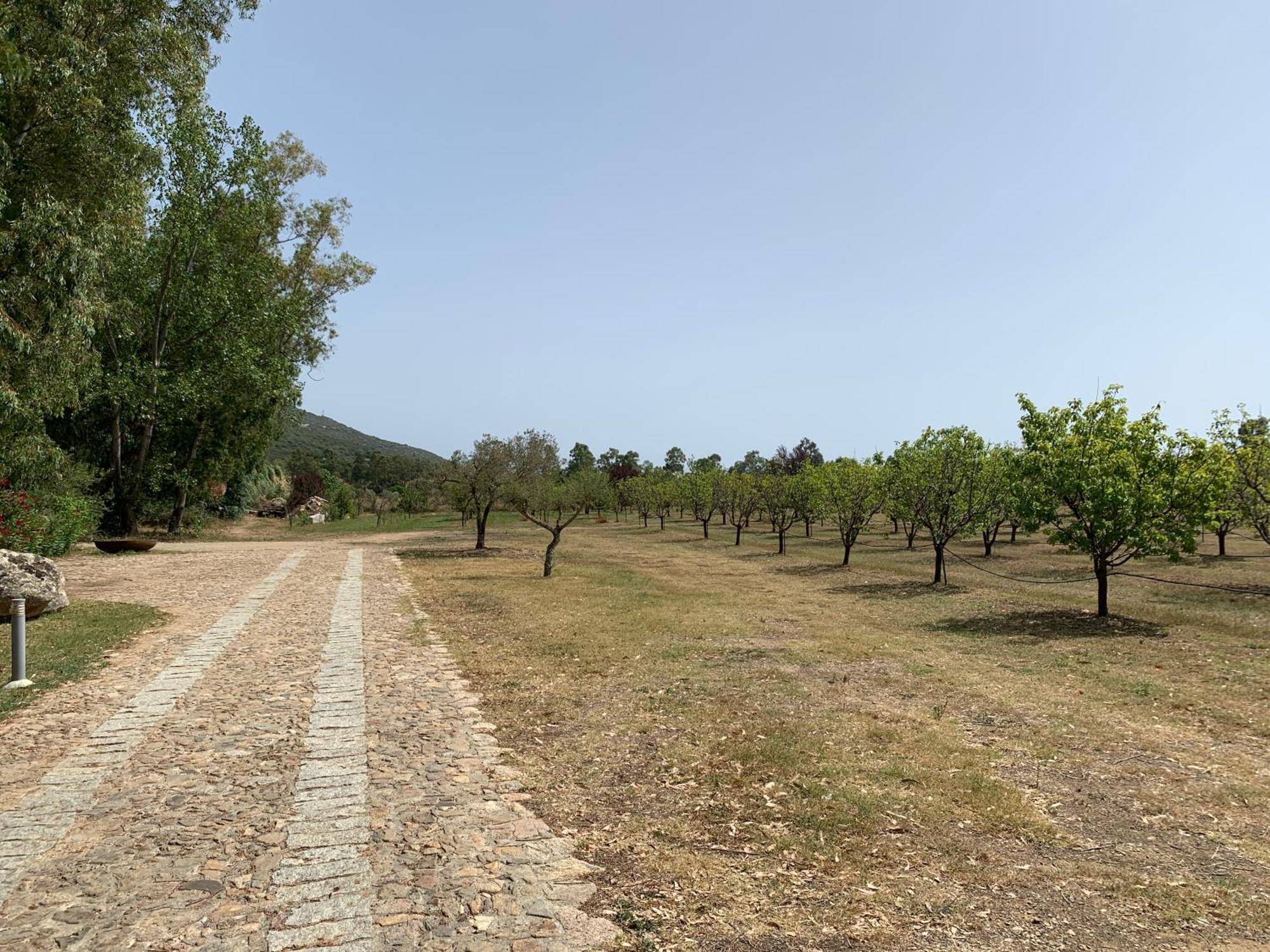 Villa Relais Benemari Siniscola Esterno foto
